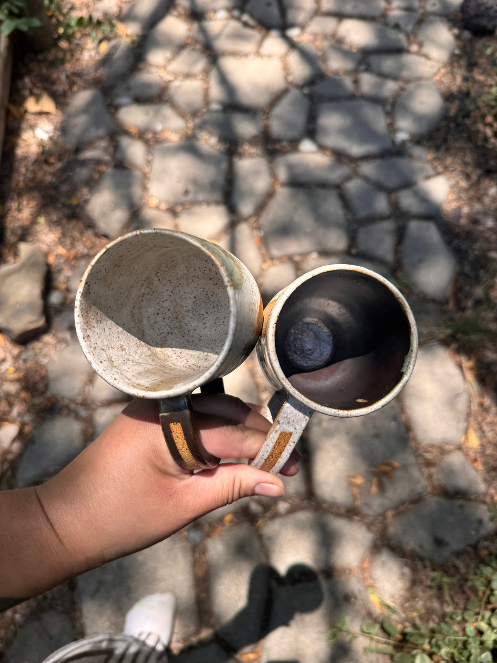 Sagebrush Mugs